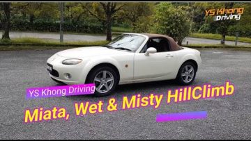 [ID: BY-UqYJo5Gw] Youtube Automatic