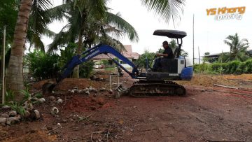 [ID: GLV7ZACj8_w] Youtube Automatic