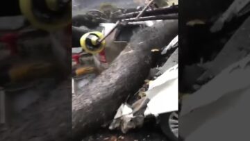 [ID: u6UxQSWPs5k] Youtube Automatic